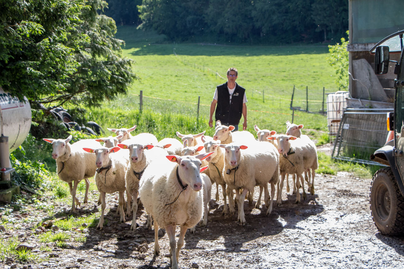 Visite à la ferme photo #1