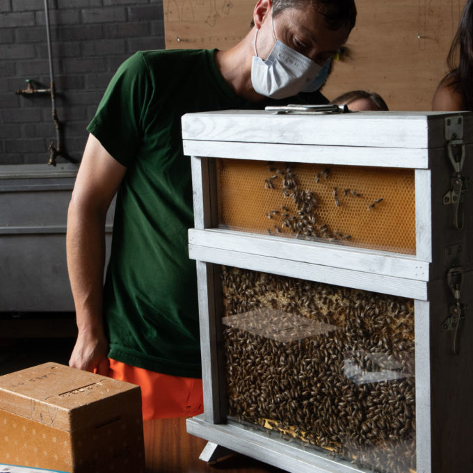 Atelier miel urbain 2021 photo #15
