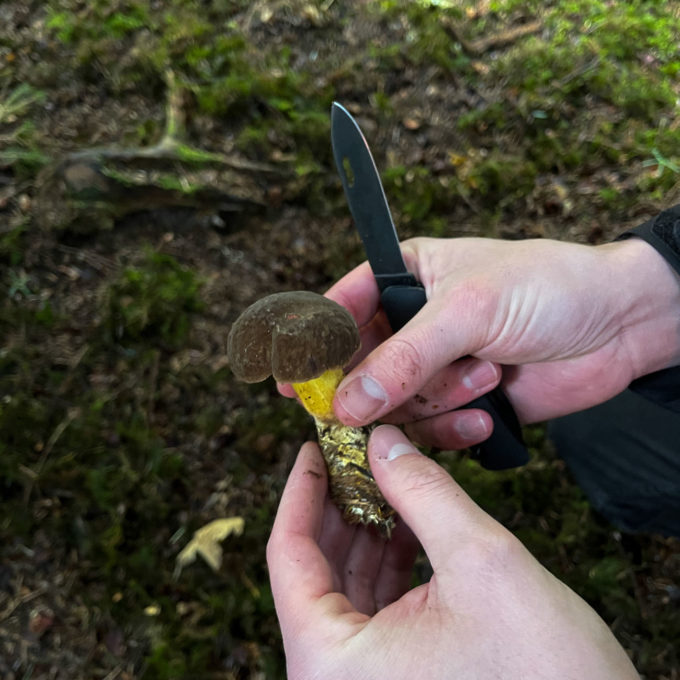 Ateliers champignons 2021 photo #9