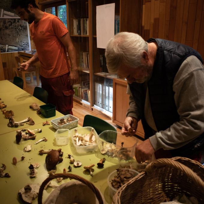 Ateliers champignons 2021 photo #18