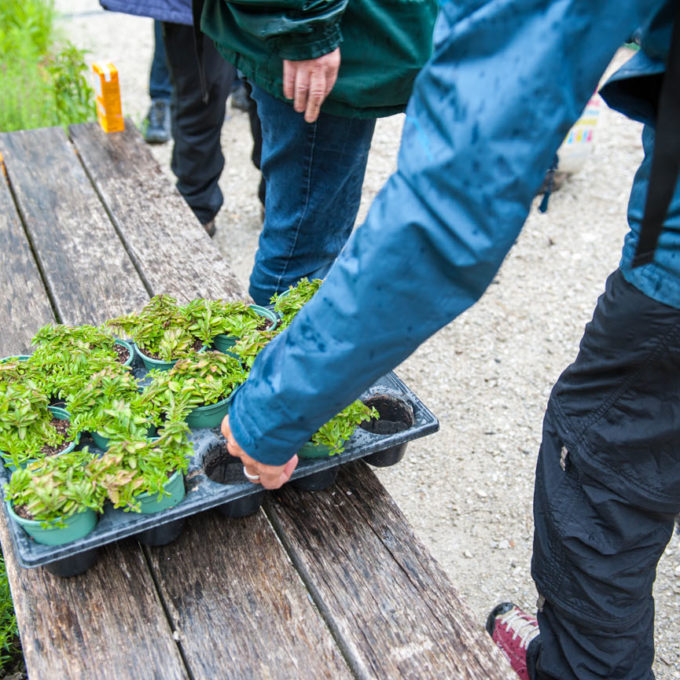 Balades des 4 coins du monde et des jardins potagers 2021 photo #22