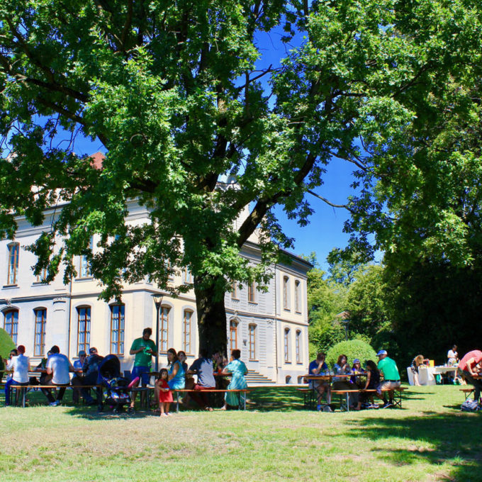 Brunch avec vue 2019 photo #9