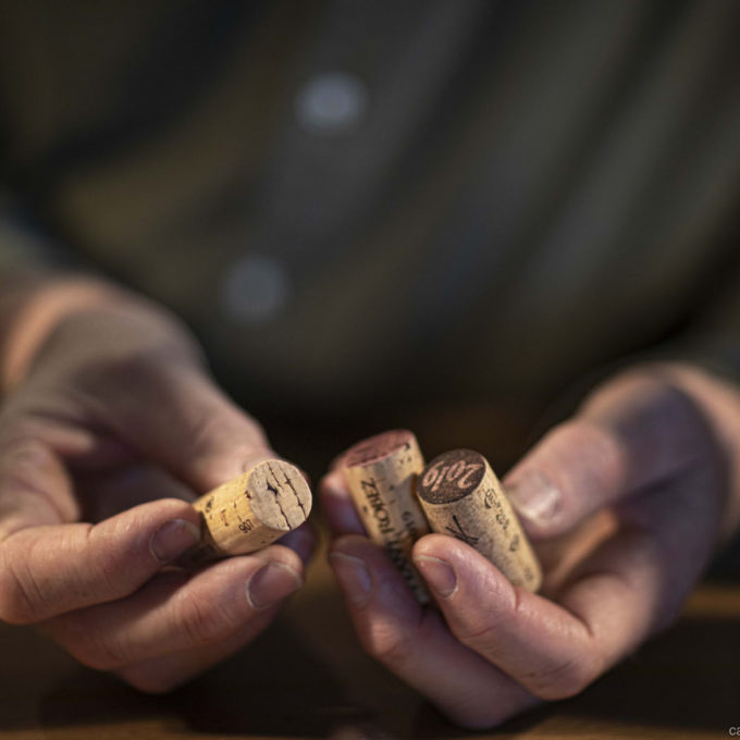 Cépages méconnus ou mal aimés : Jamais Gamay ! 2021 photo #2