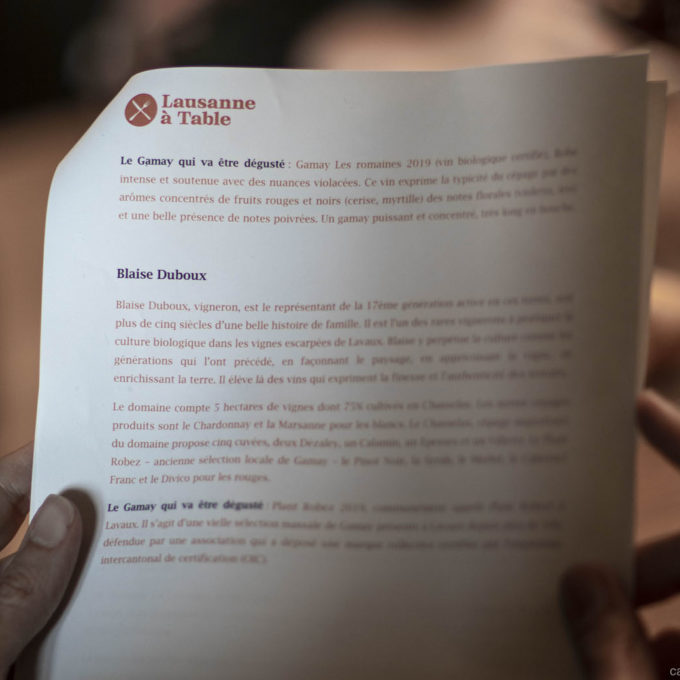 Cépages méconnus ou mal aimés : Jamais Gamay ! 2021 photo #28