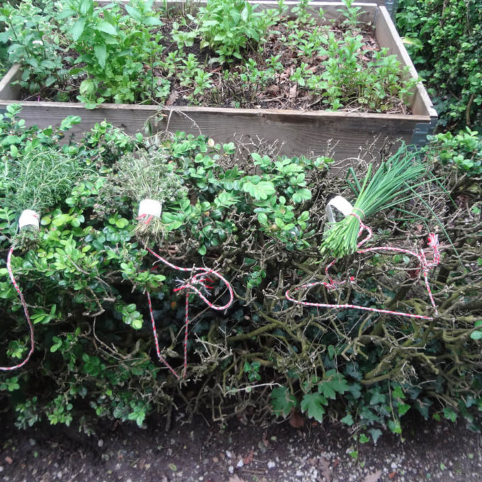 Chasse aux trésors savoureuse 2016 photo #6