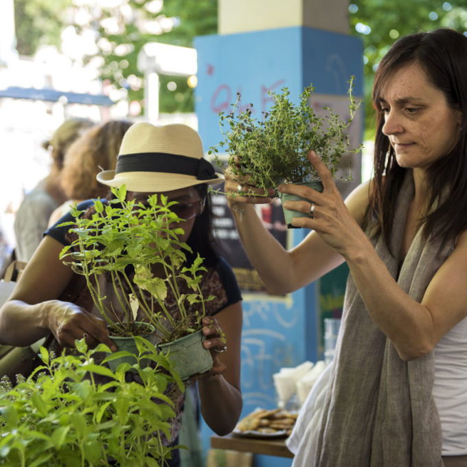 Cultive ton cocktail 2017 2017_ñ_Cultive ton cocktail photo #10