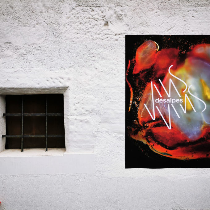 DESALPES 2021 photo #30