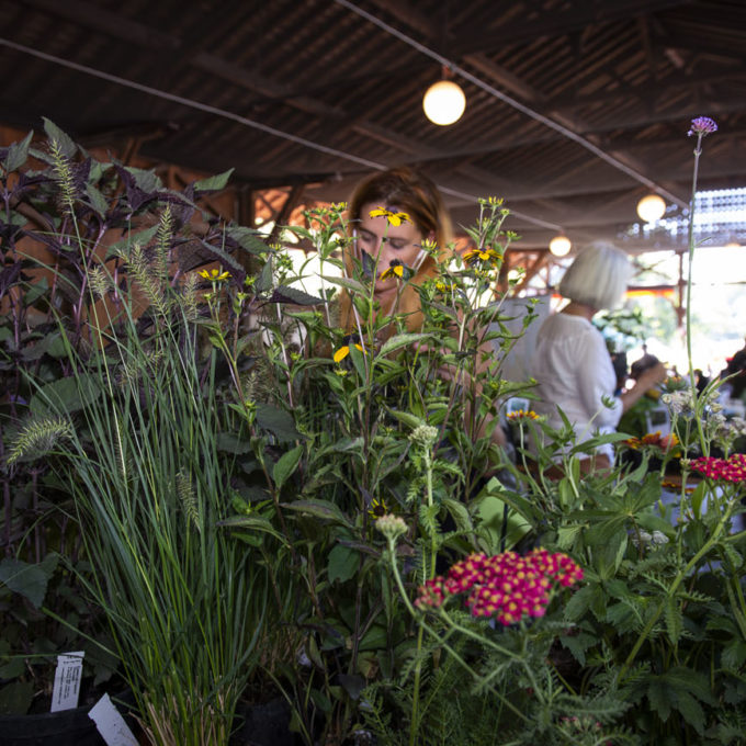 Marché d’automne ProSpecieRara 2018 photo #14