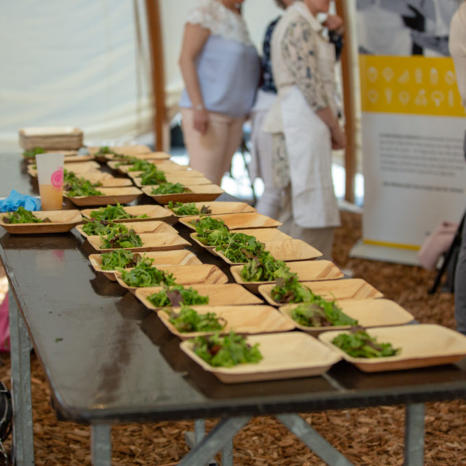 Miam Festival 2018 2018 photo #5