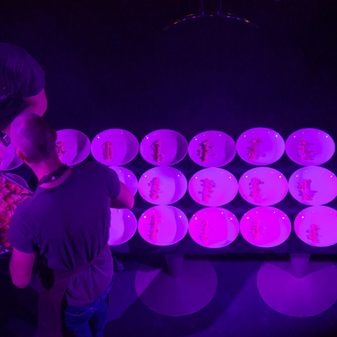 Performance musiculinaire 2018 photo #14