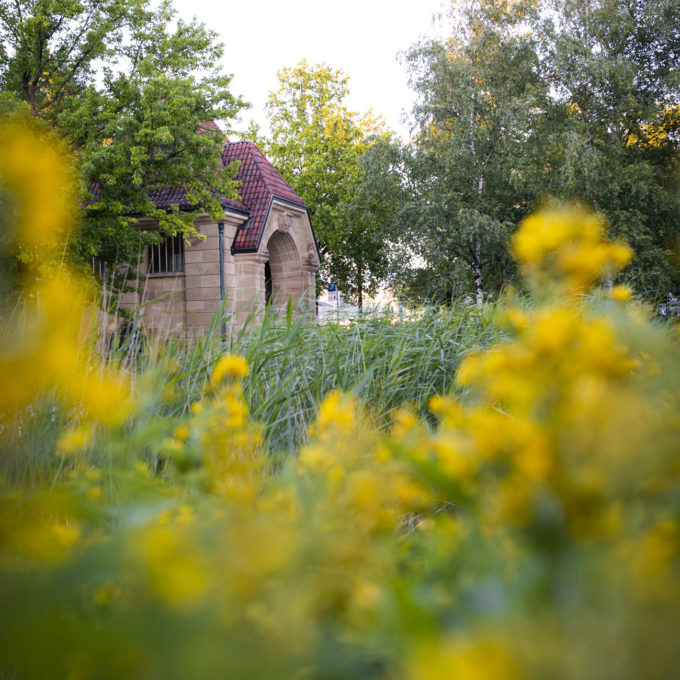 Tables éphémères  2018 photo #29