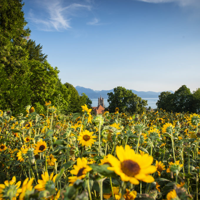Tables éphémères  2018 photo #46