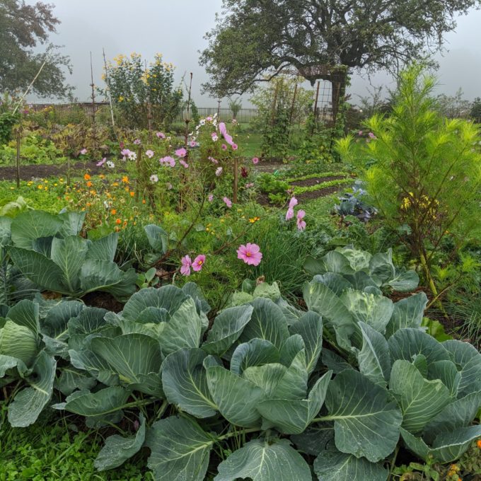 Visite à la ferme 2019 photo #4