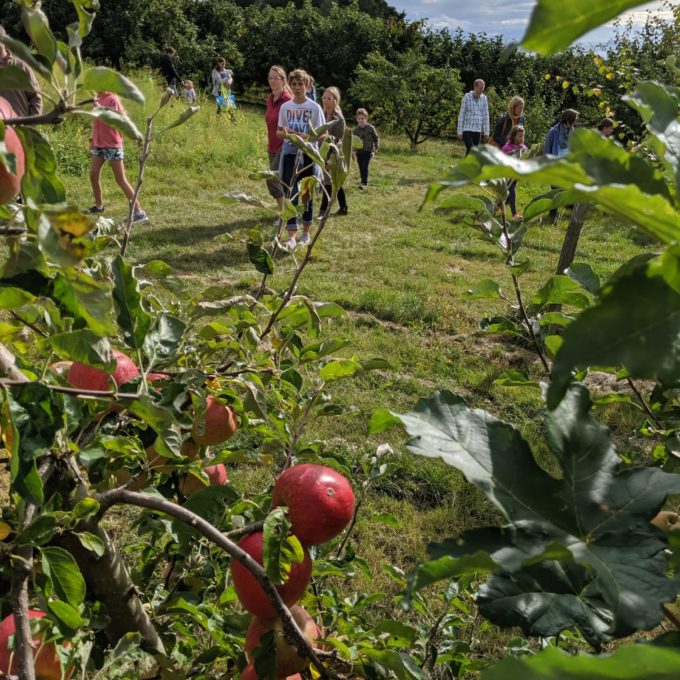 Visite à la ferme 2019 photo #6