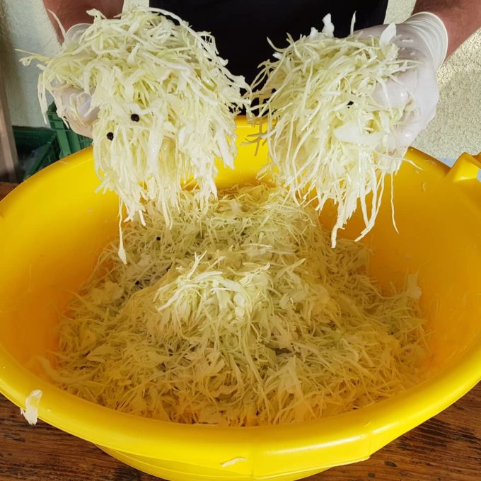 Visite à la ferme 2019 photo #7