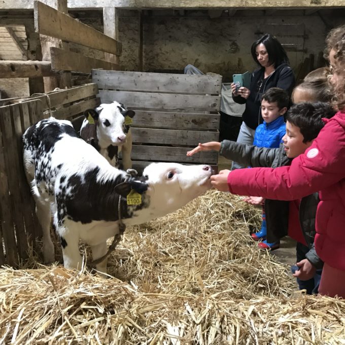 Visite à la ferme des Amburnex 2020 photo #5