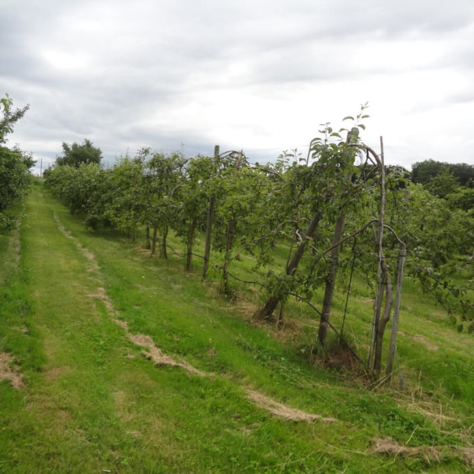 Visites à la Ferme 2016 photo #5