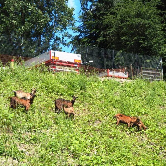 Visites à la Ferme 2016 photo #12