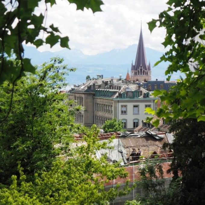 Visites à la Ferme 2016 photo #15