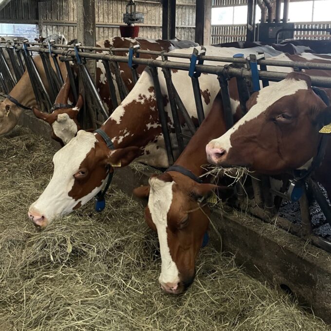 Les Visites à la Ferme – Ferme de la Bonne Foire