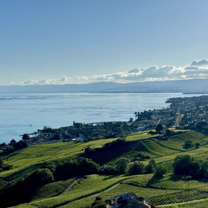 Skinny Dipping dans les vignes