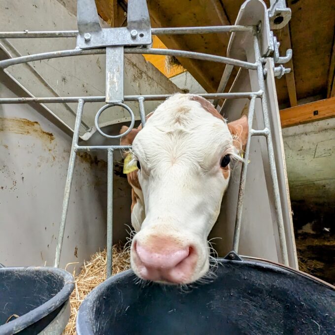 Les Visites à la Ferme
