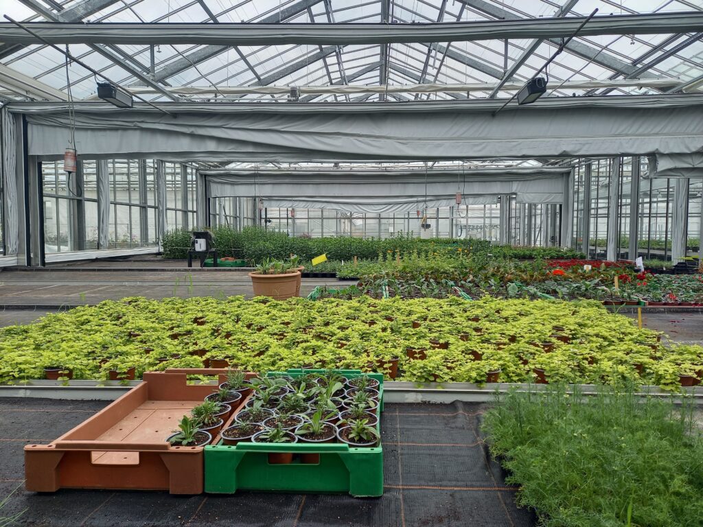 Image de l'événement :: Le Marché d’été 