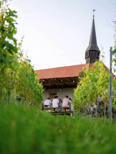 Event's image: Les Pépites des Vignes