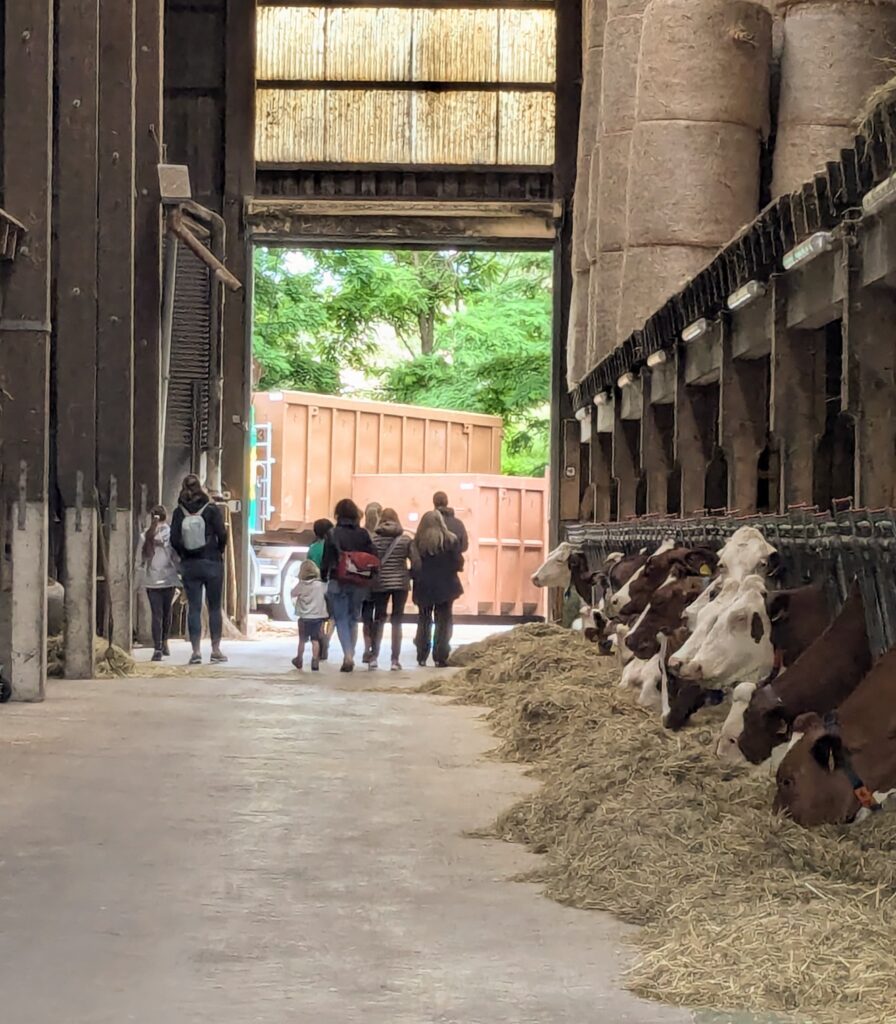 Event's image: Visits to the Farm