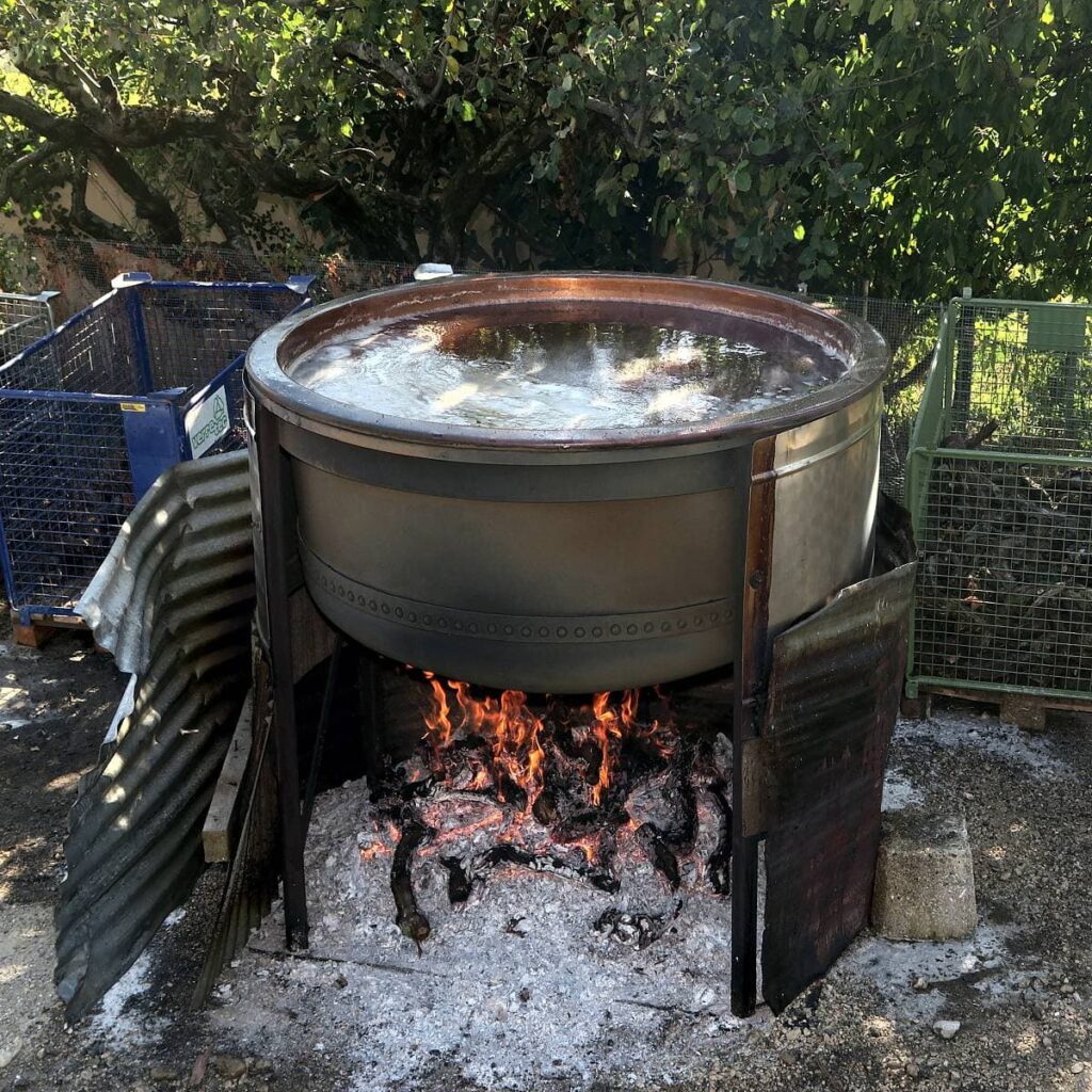 Event's image: The great Raisinée