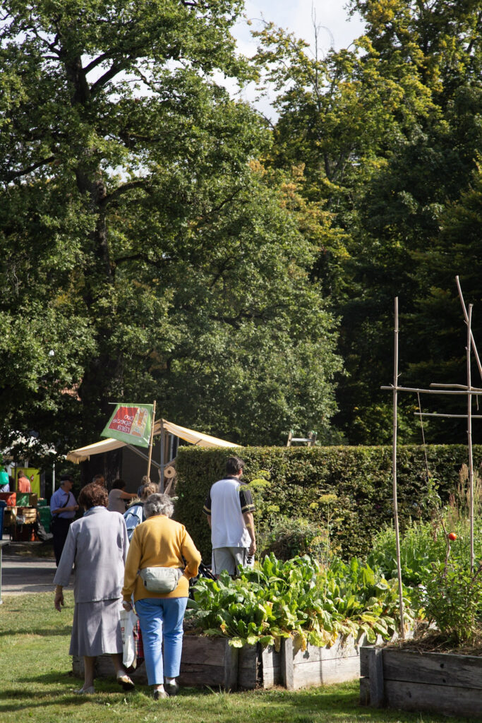 Event's image: Summer Market