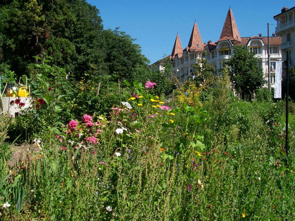 Event's image: Agricultural trail