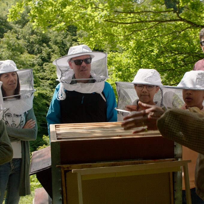 Pique-nique autour du Miel