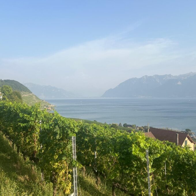 À la table du Vigneron