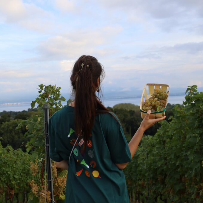 Apéro des membres – Domaine de la Colombe